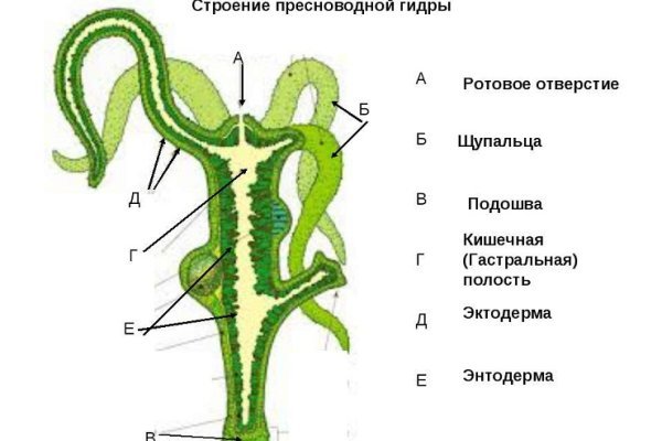 Кракен точка ат